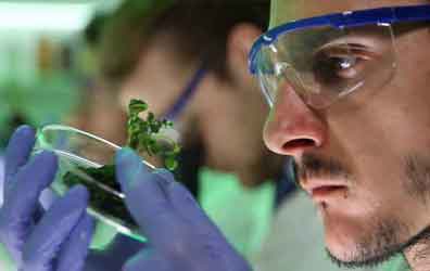 شناسنامه و گواهی بهداشت