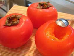 نهال خرمالو