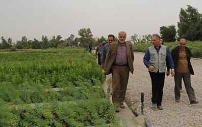 کمیته فنی و ناظرین نهالستان