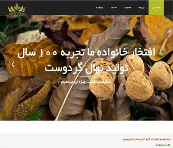 وب سایت royalgerdo.com