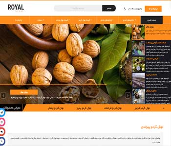 وب سایت gerdo.co